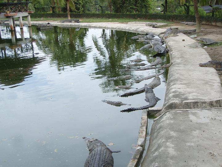 Anaconda hp 073.jpg